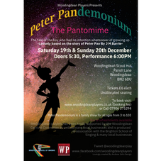 Peter Pandemonium pantomime poster - Woodingdean Players